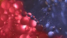 bubble1.jpg